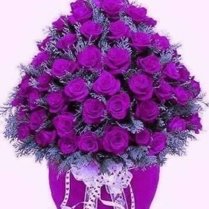 Meet your Posher, Diem